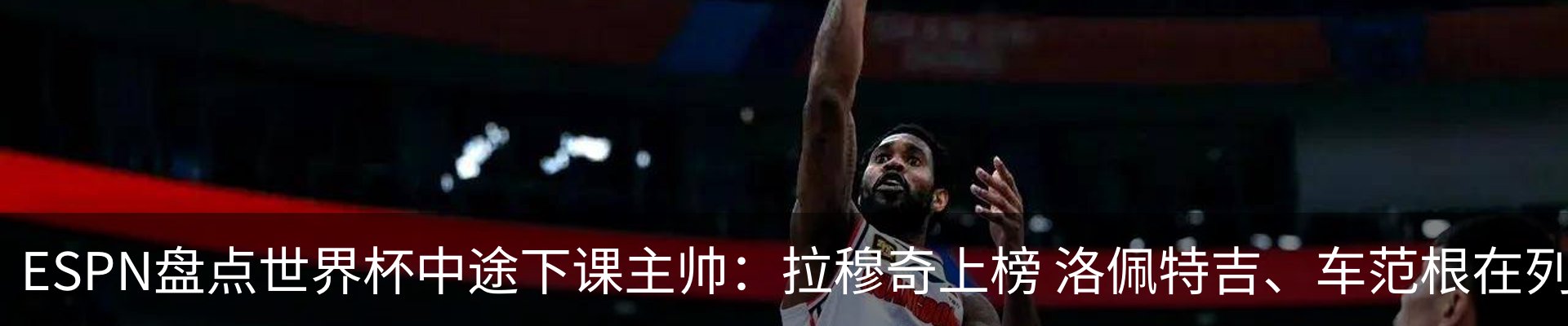 新闻动态