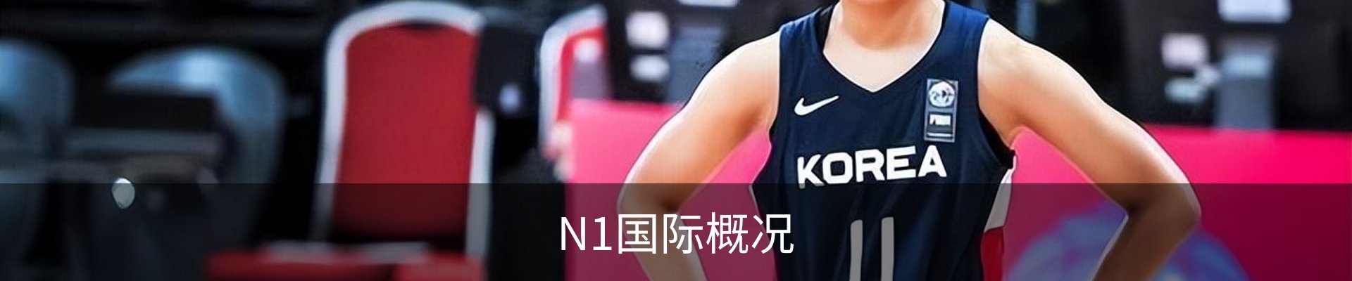 N1国际概况