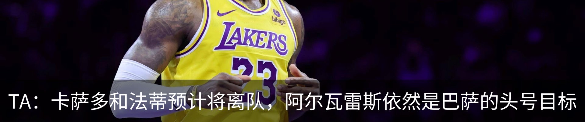 新闻动态